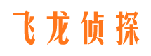 广阳市侦探调查公司